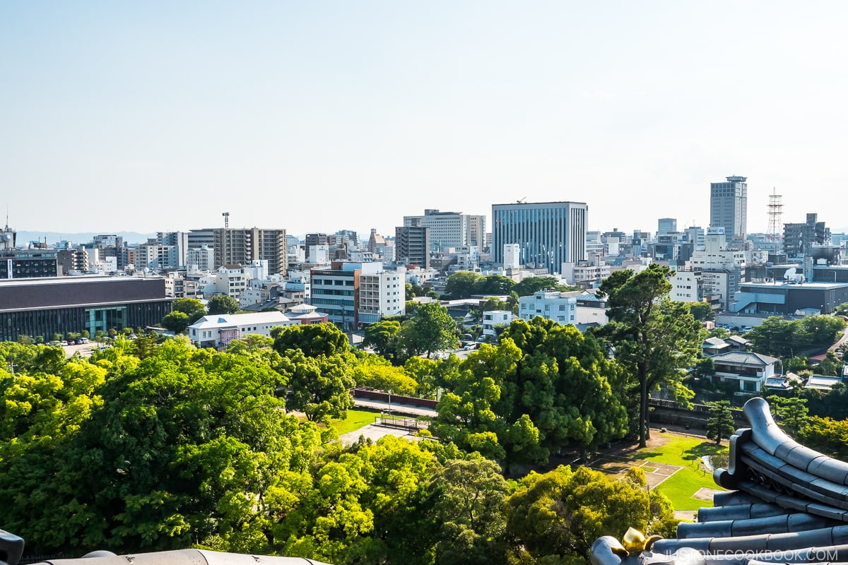 looking out at Okayama from castle window