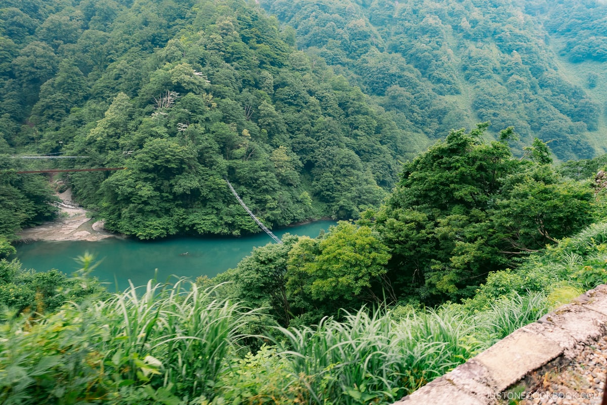 View from Kurobe Gorge Railway of a bridge for monkeys