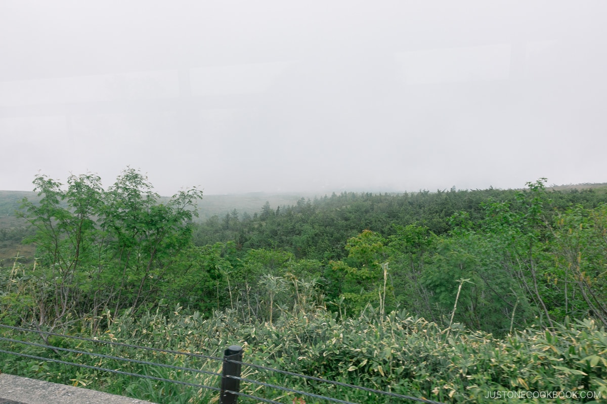 scenery near Tateyama Station