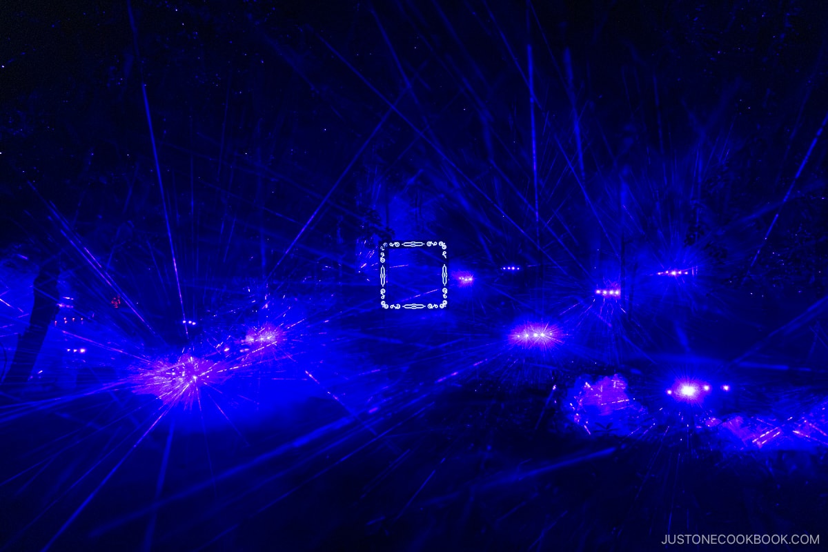 Projection mapping at lighting at Kamuy Lumina