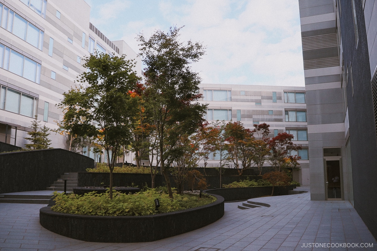 Hotel courtyard