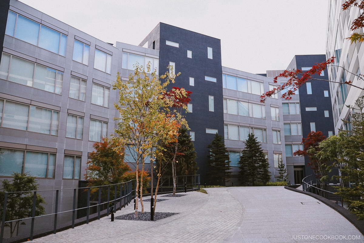 Hotel courtyard