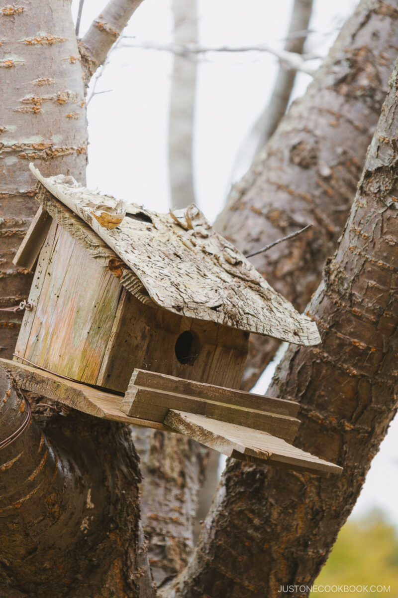 Bird house