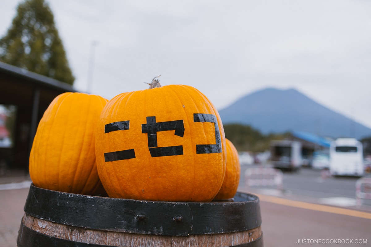 Pumpking with "Niseko" taped on in Katakana letters