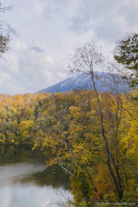 Autumn Leaves at Hangetsu Lake with Mt Yotei in the background