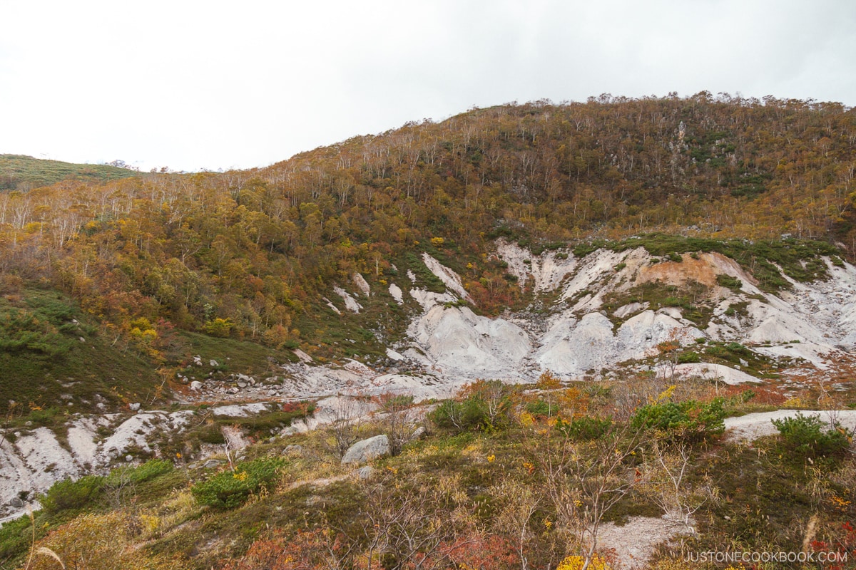 Autumn leaves at Goshiki Onsen