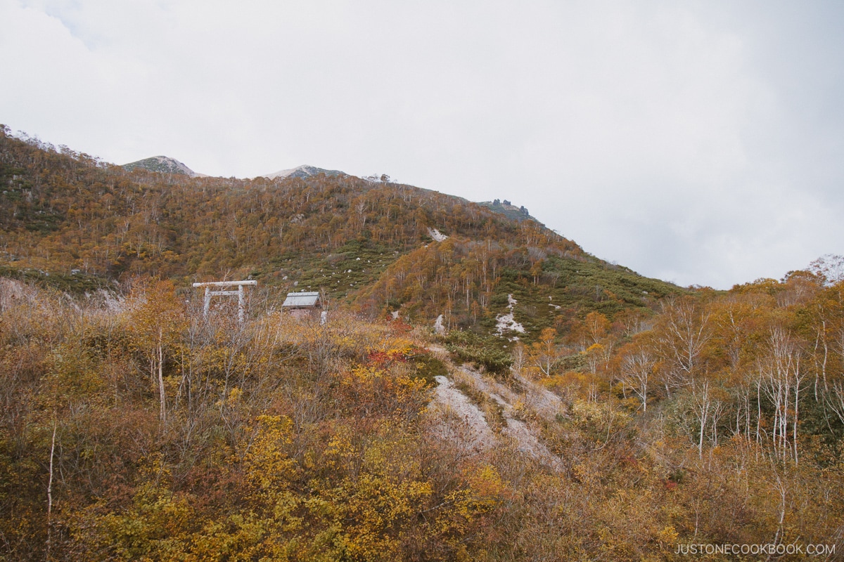 Autumn leaves at Goshiki Onsen