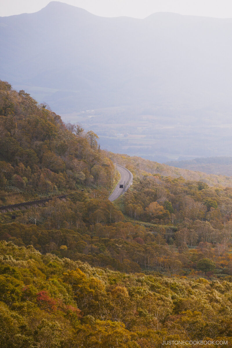 Overlooking the autumn leaves at Niseko