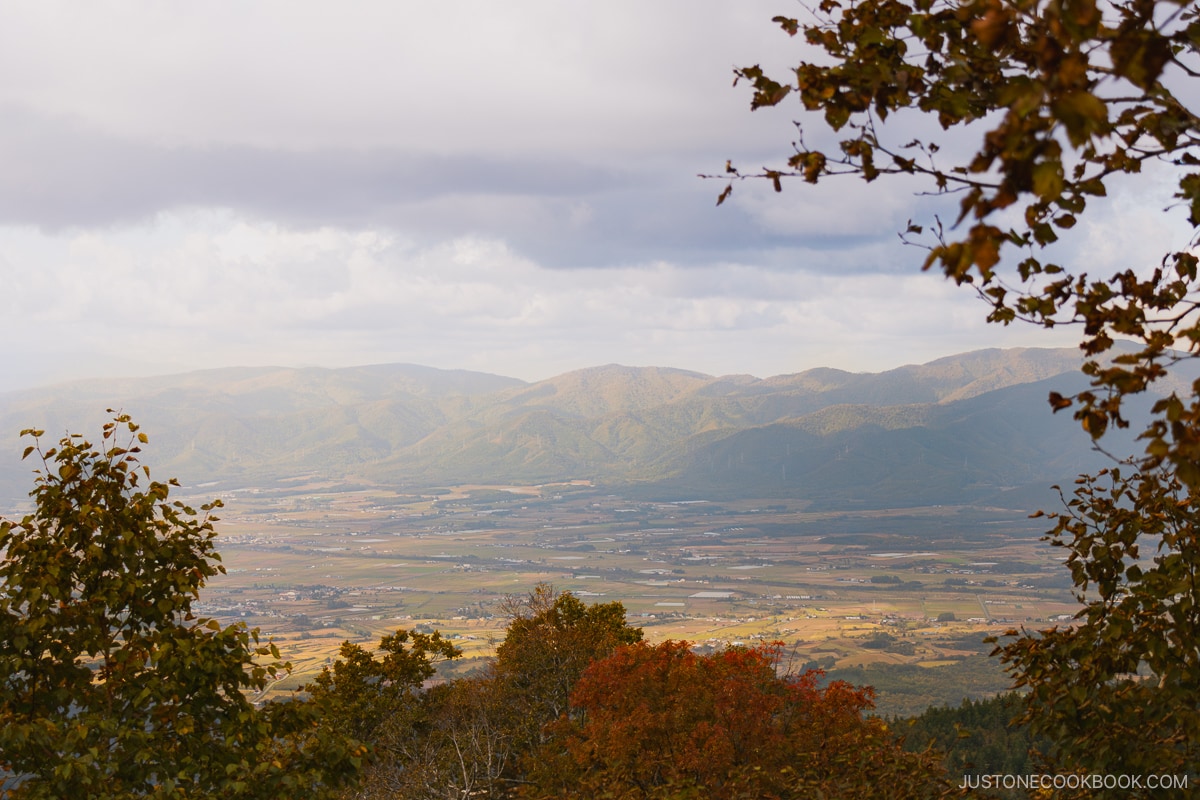 Observation deck overlooking Iwanai city.