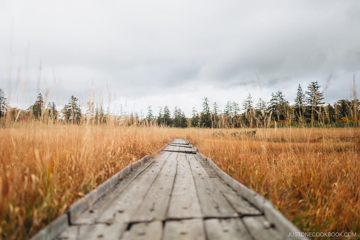 Shinsen Numa Boardwalk