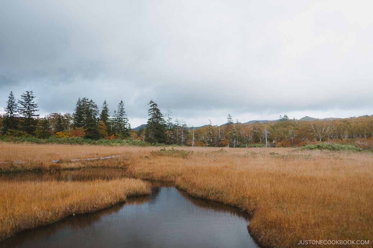 Shinsen Numa with marsh waters