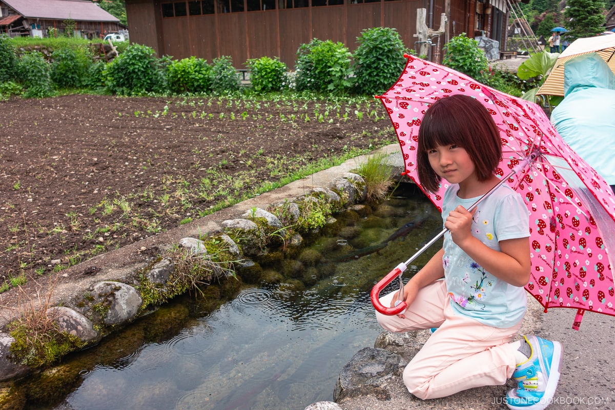 Clear water drainage that fish can swim in