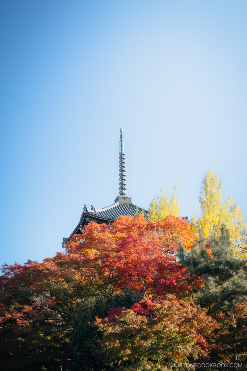 Pagoda roof appearing out of autumn leaves