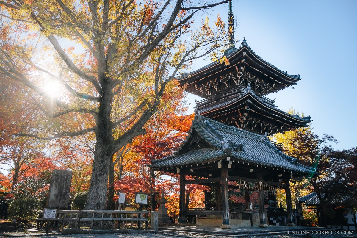 Three story pagoda with autumn leaves