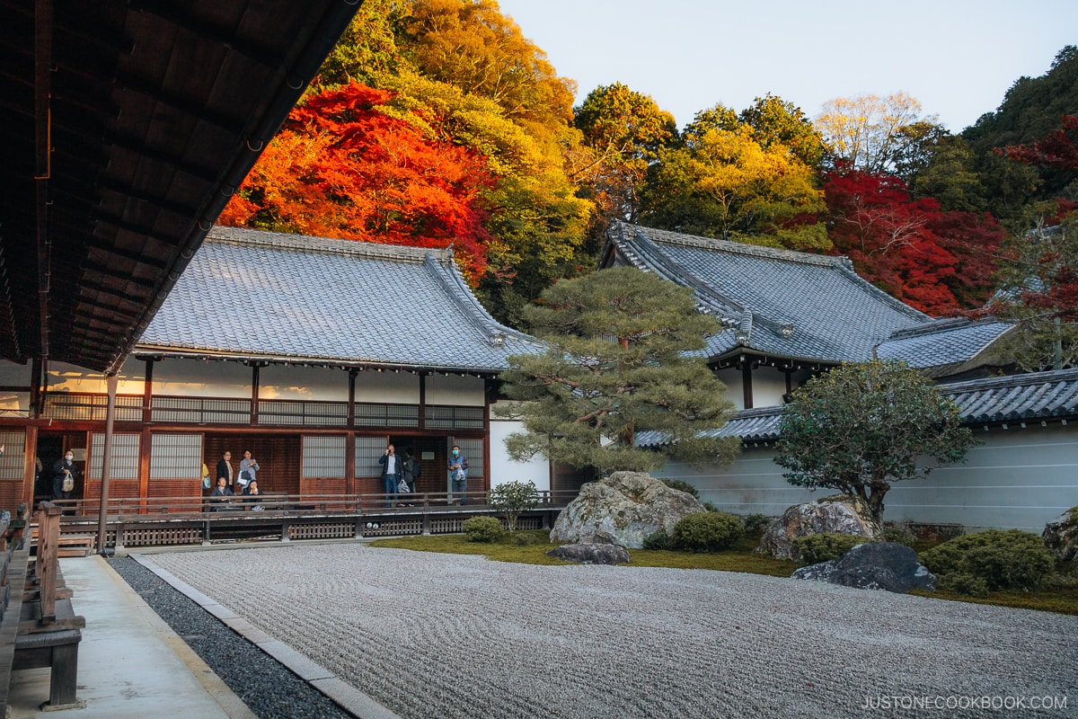 Rock garden