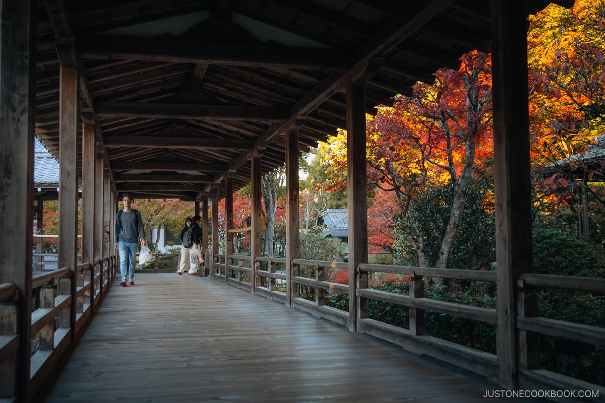 Inside the wooden corridors