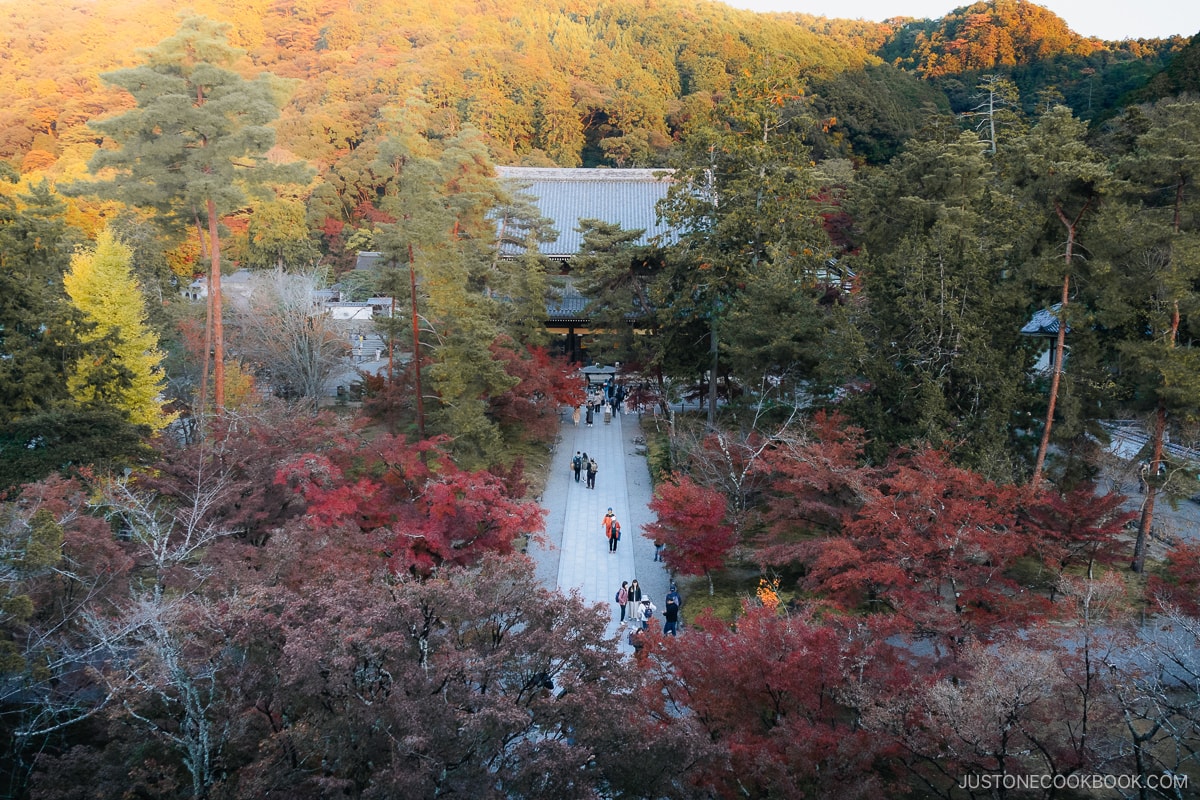 Red autumn leaves with tradiitonal temple rood structure detail