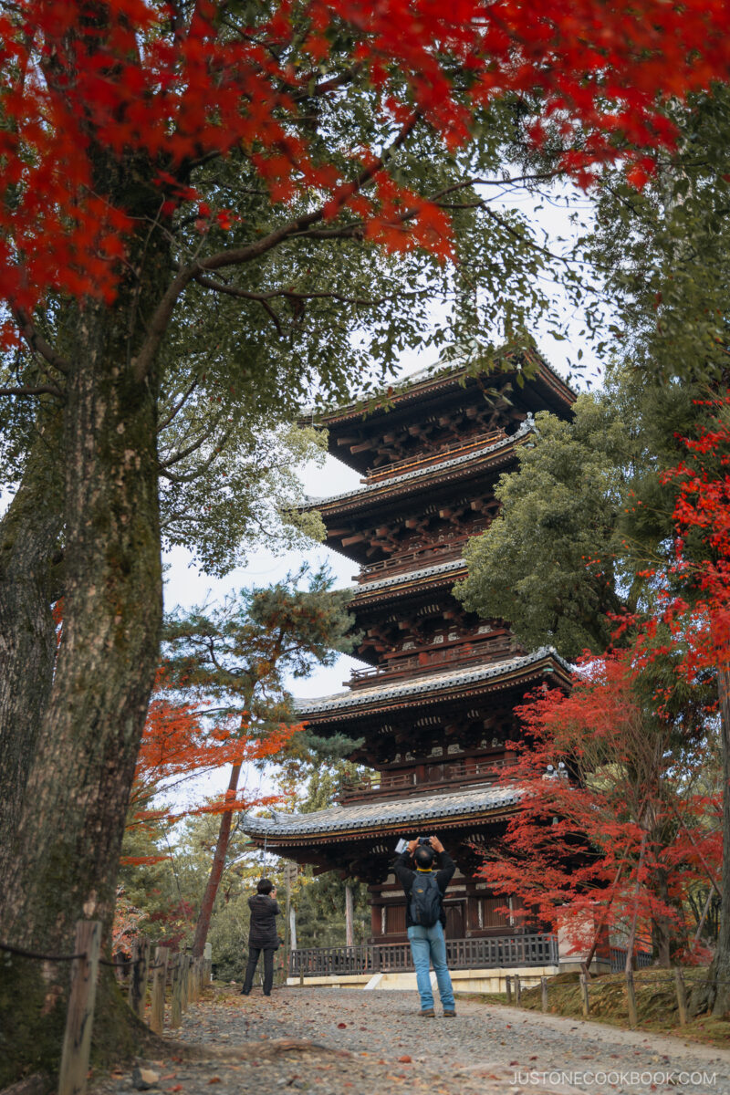Five story pagoda with red maple leaves