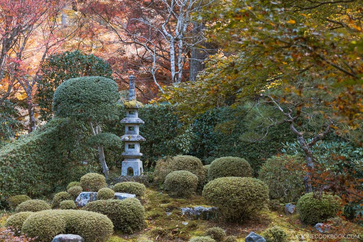 Shuhekien Garden with maple leaves in the background