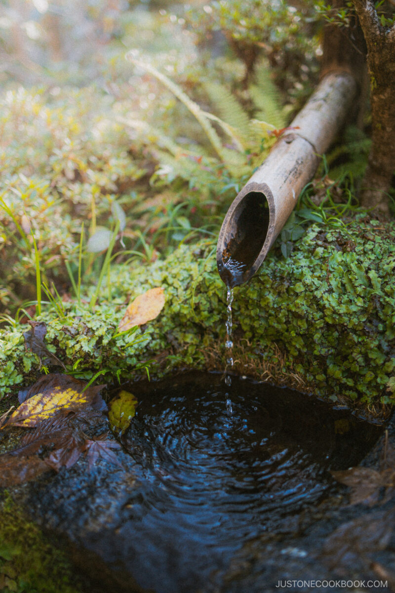 Water fountain with a bamboo pipe