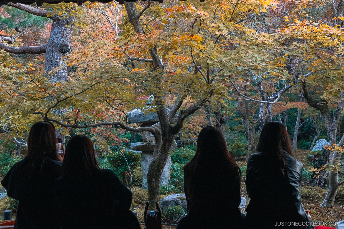 People sitting and enjoying the autumn leaves at Enkouji