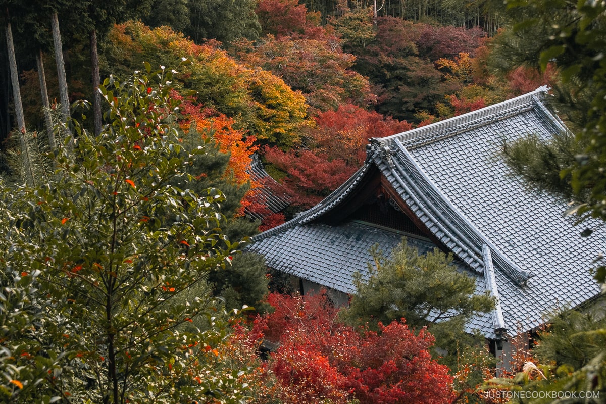 Overlooking the autumn leaves and Enkouji