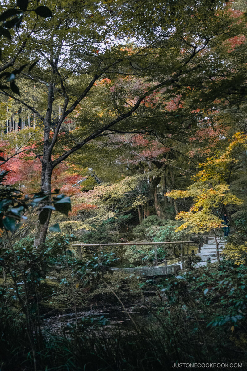 Stone bridge and pond