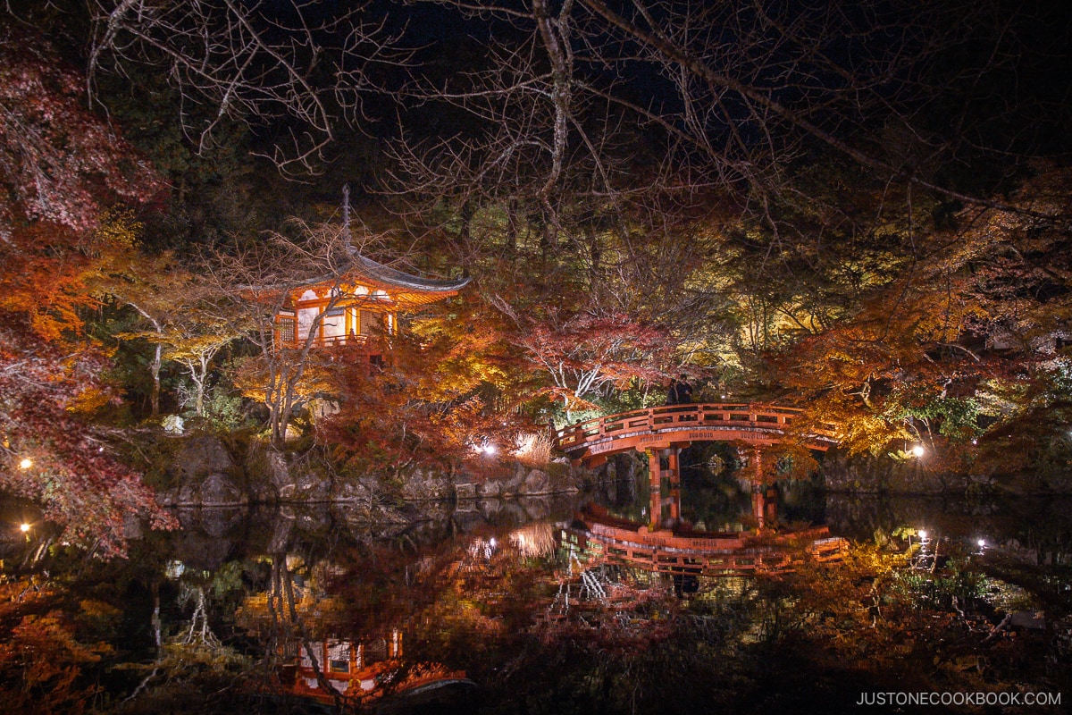 Red bridge and autumn leaves at night