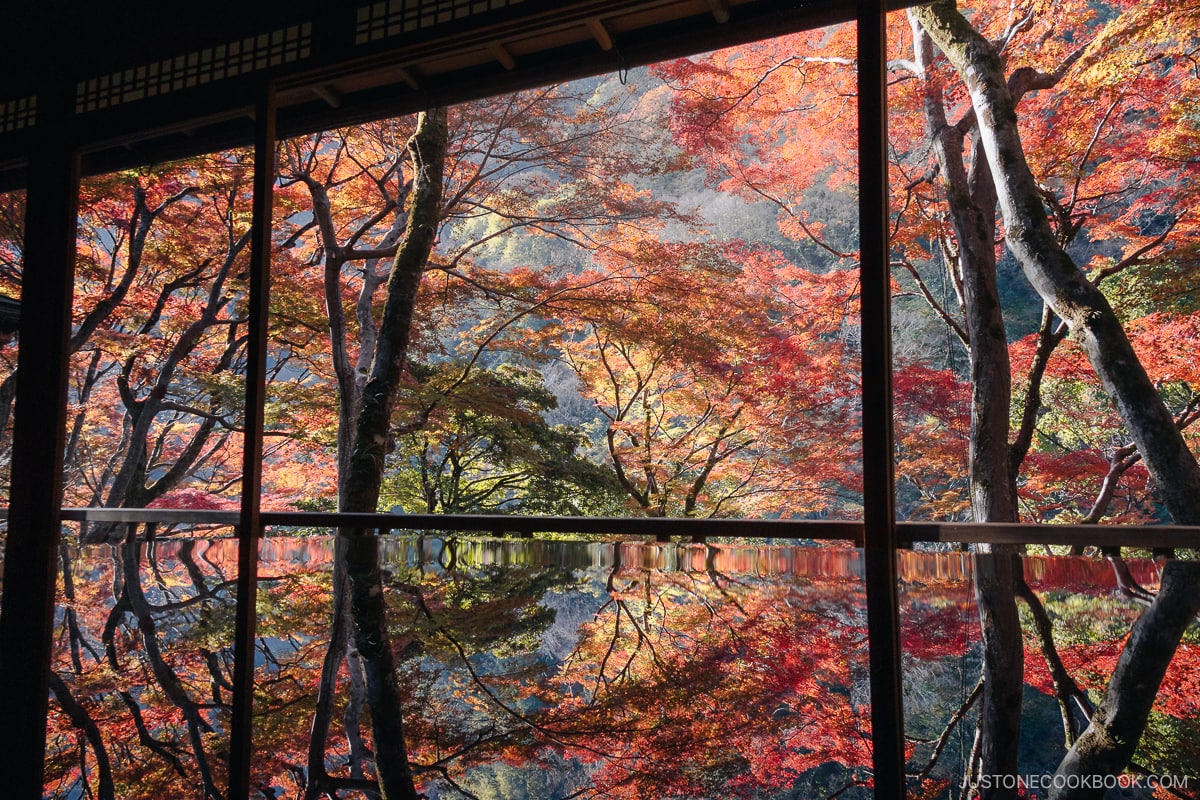 Colorful autumn leaves reflected in a table