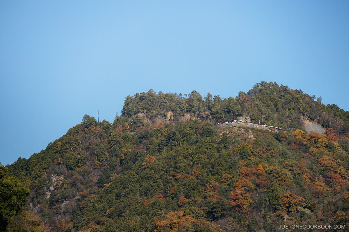 autumn leaves in Arashiyama