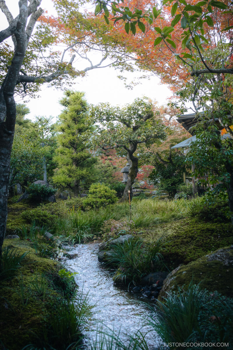River flowing through a modd garden
