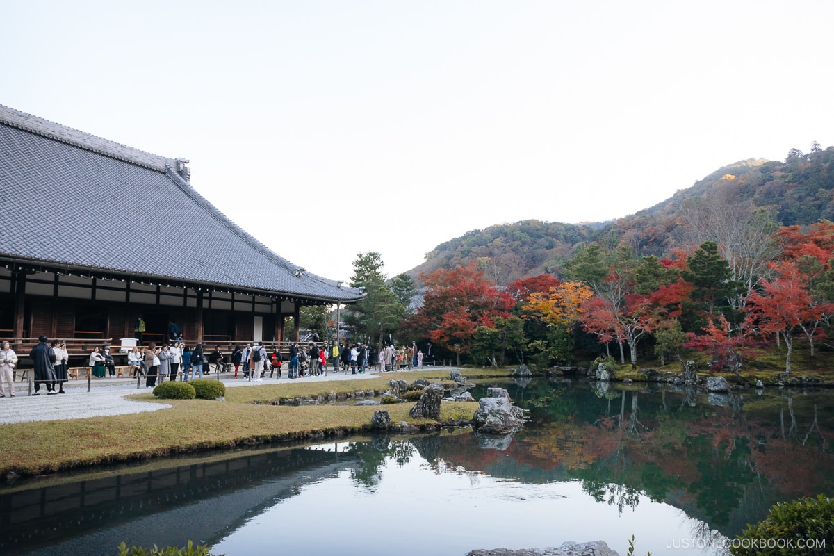 View over looking temple garden with a pond and autumn leaves