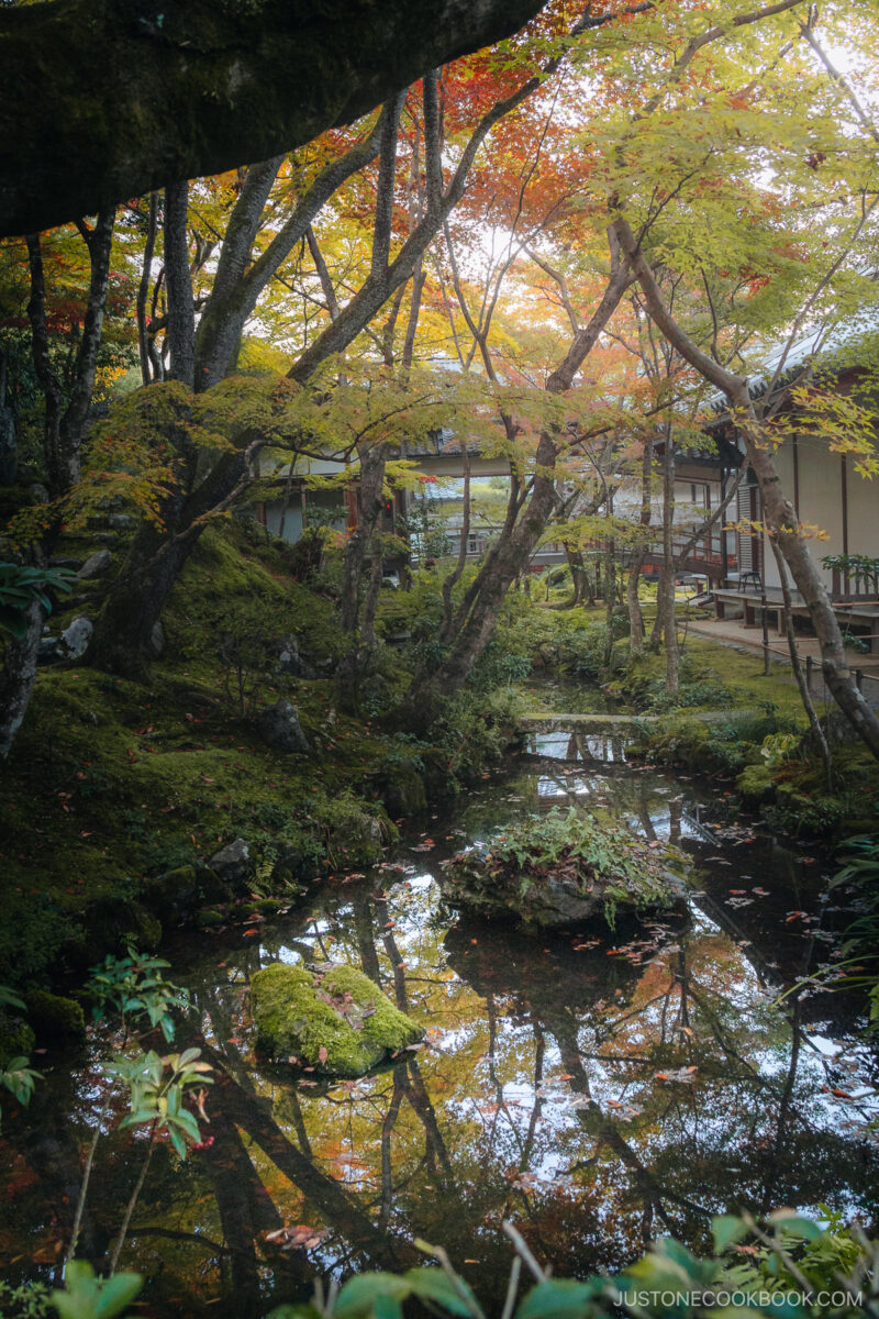 River running through a garden with fallen autumn leaves
