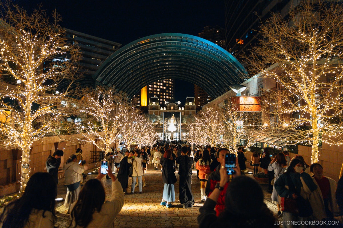 Slope lined with illuminated trees