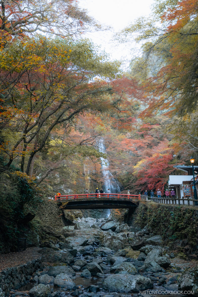 River leading to a waterfall with a red bridge