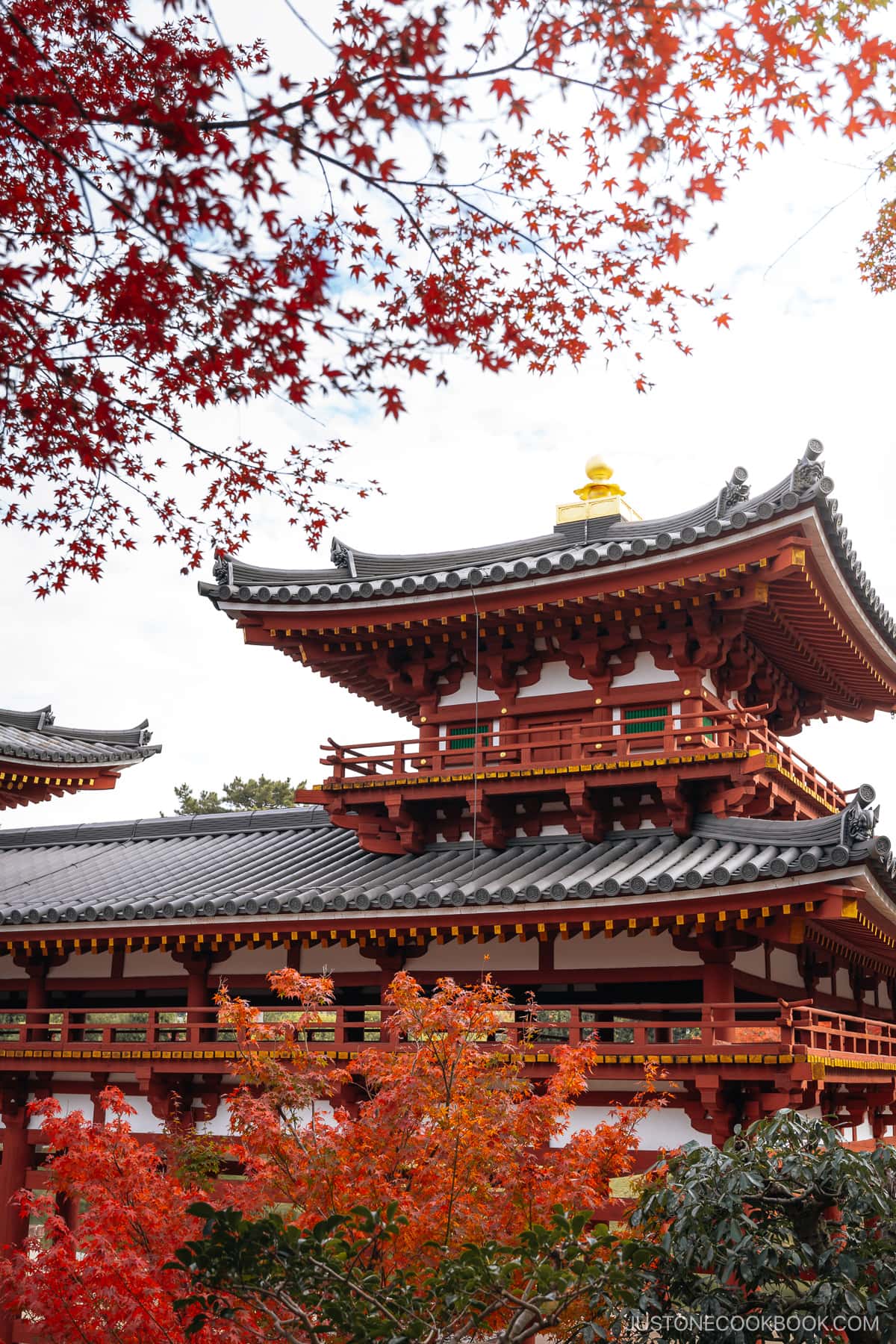 Temple detail surrounded by autumn leaves