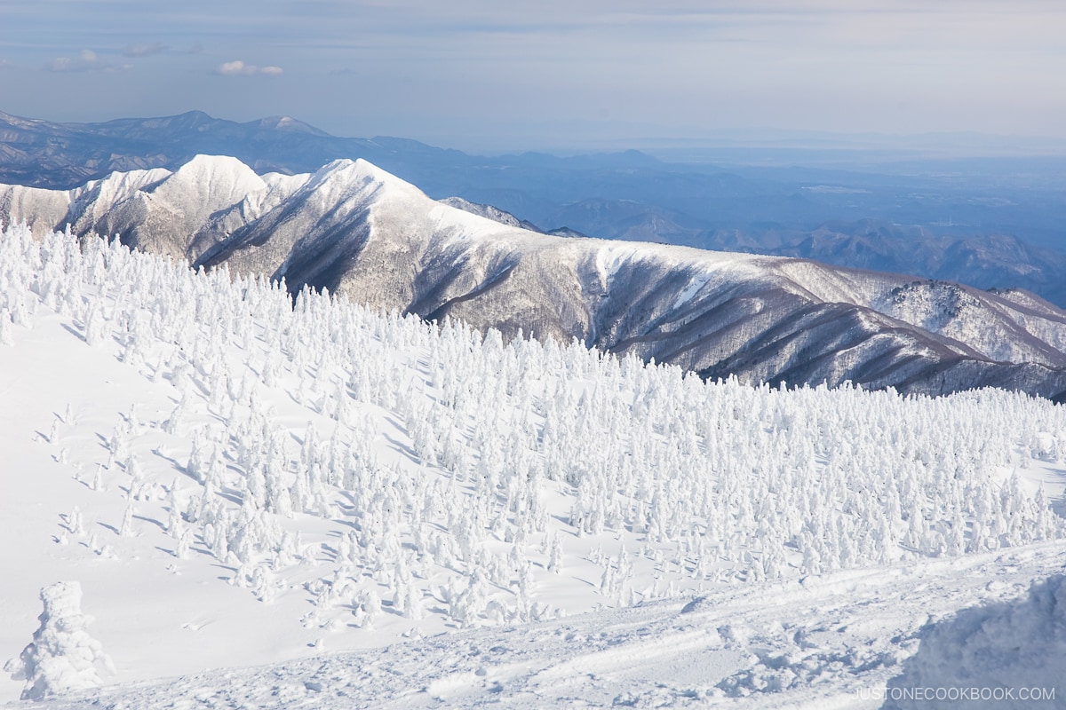 Zao snow monsters