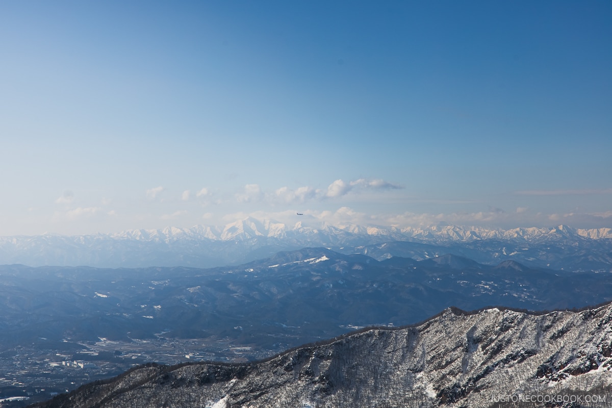 Plane flying with snowy mountains in the background