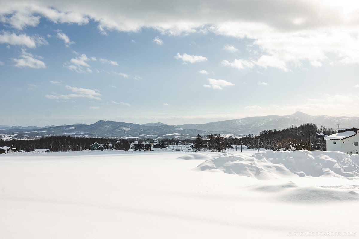 Fields covered in snow with Niseko Town in the background