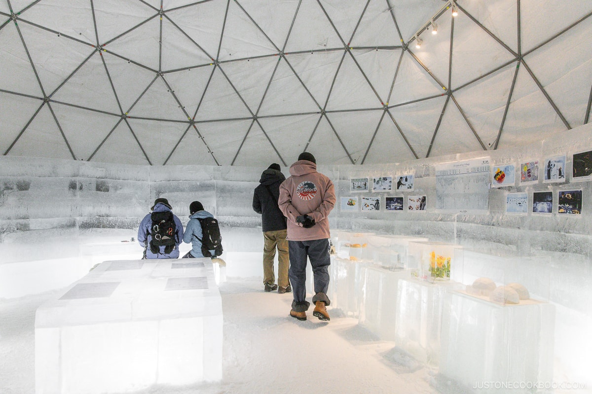 Shop made out of ice