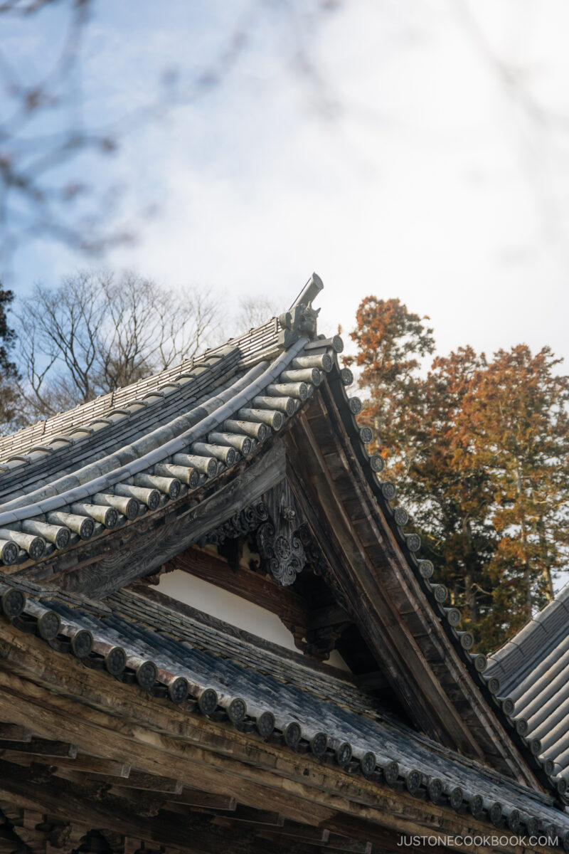 Temple roof