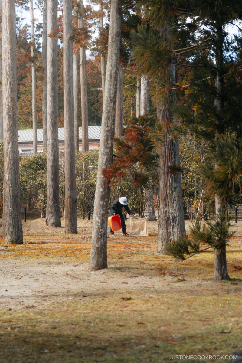 Gardener working in the temple grounds