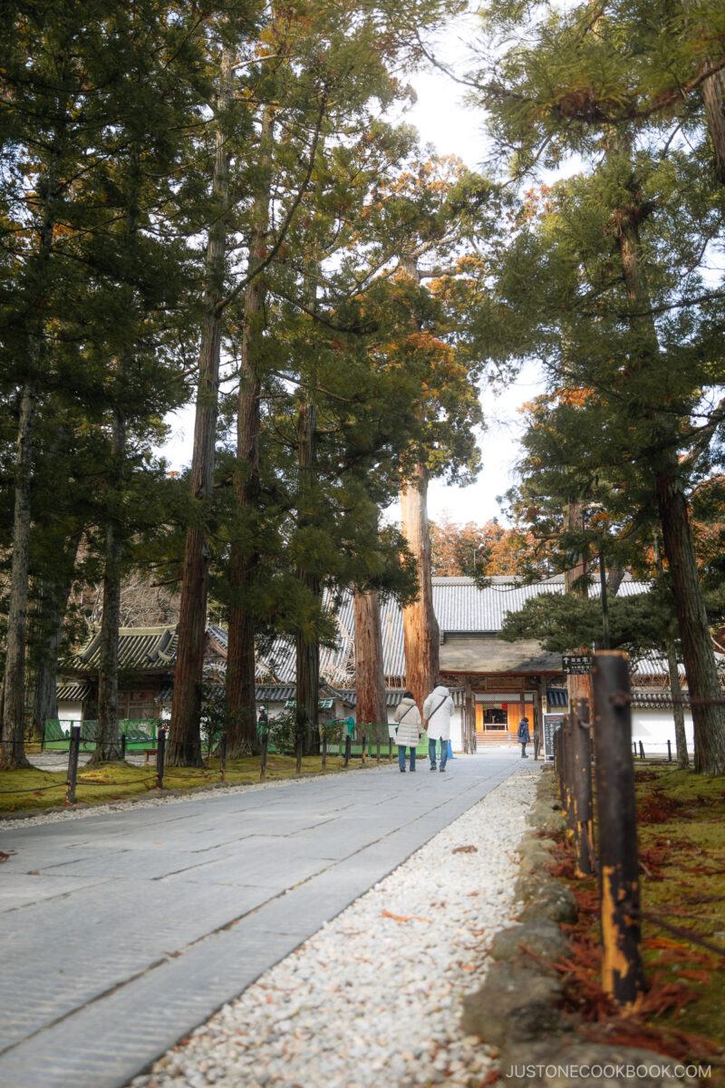Pathway lined with trees leading to a temple