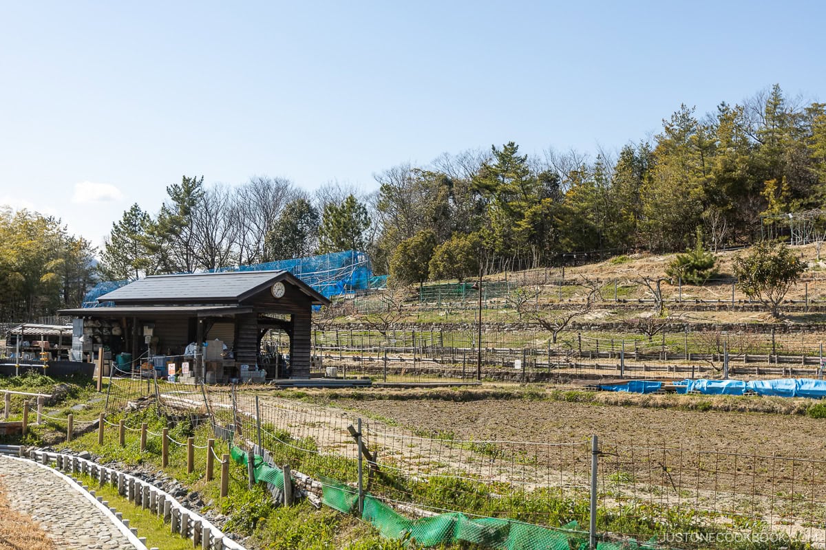 Wooden souvenir shop