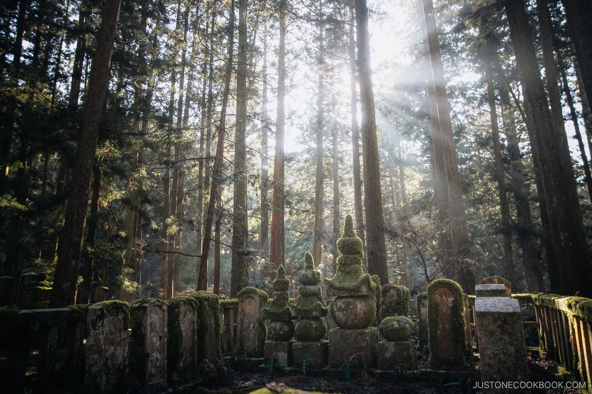 Gravestone in a forest