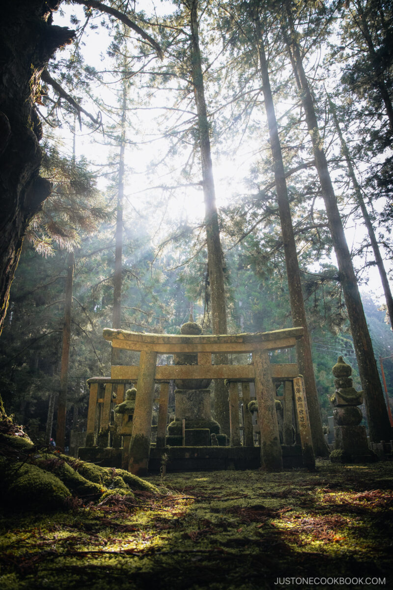 Gravestone and torii gate