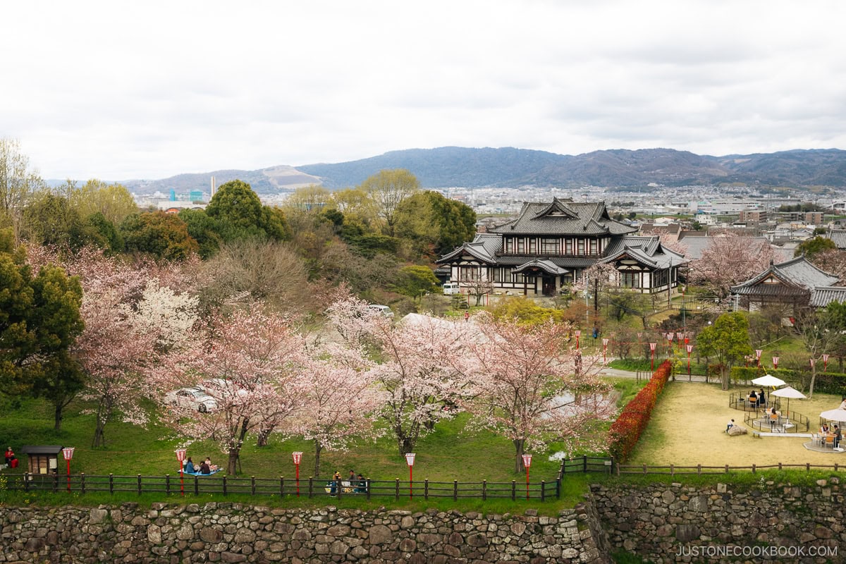 Castle grounds with cherry blossoms