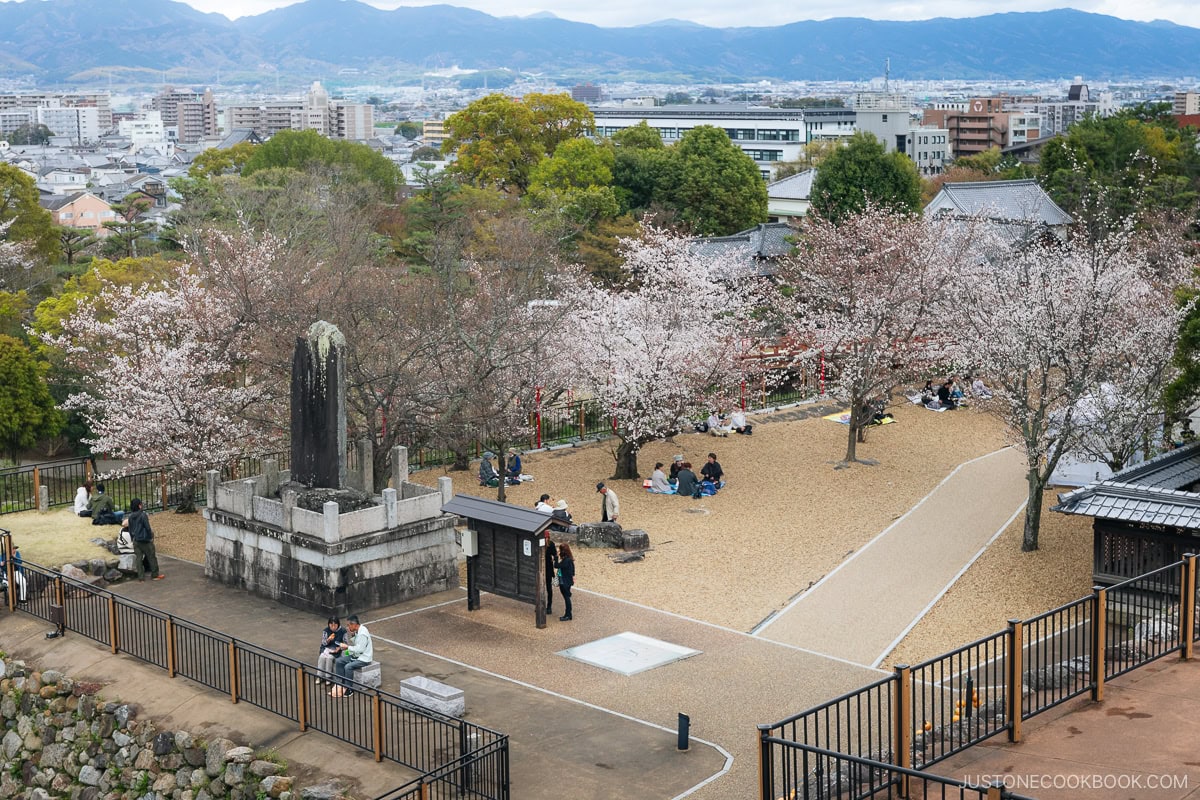Castle grounds with cherry blossoms