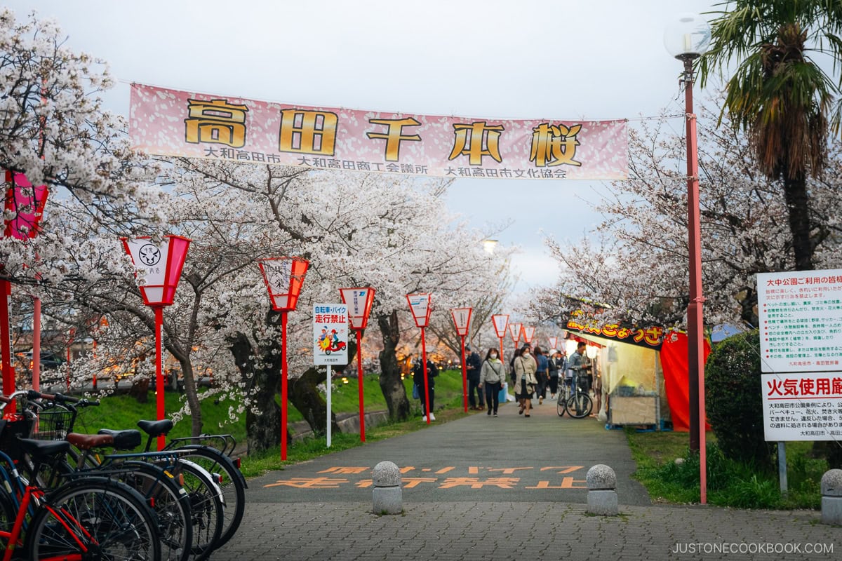 Festival entrance flag