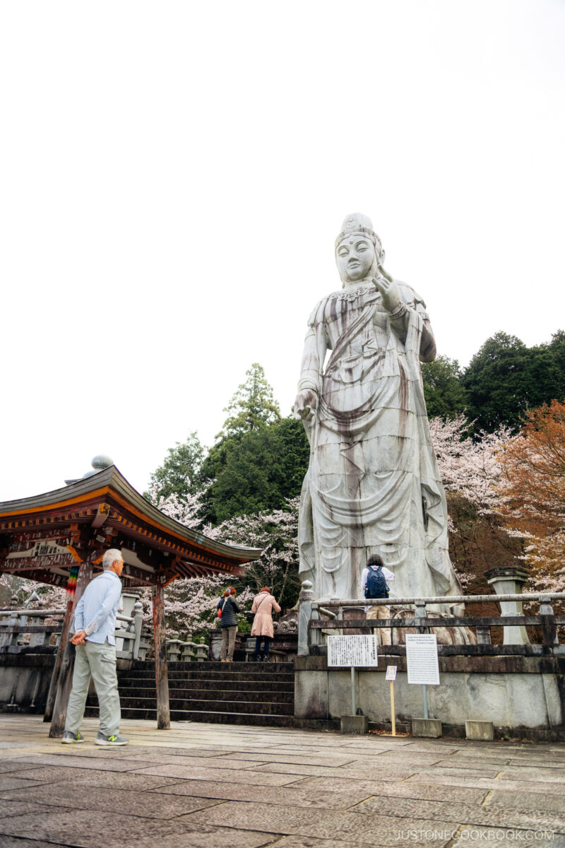 Giant Buddha Statue surrounded by cherry blossoms